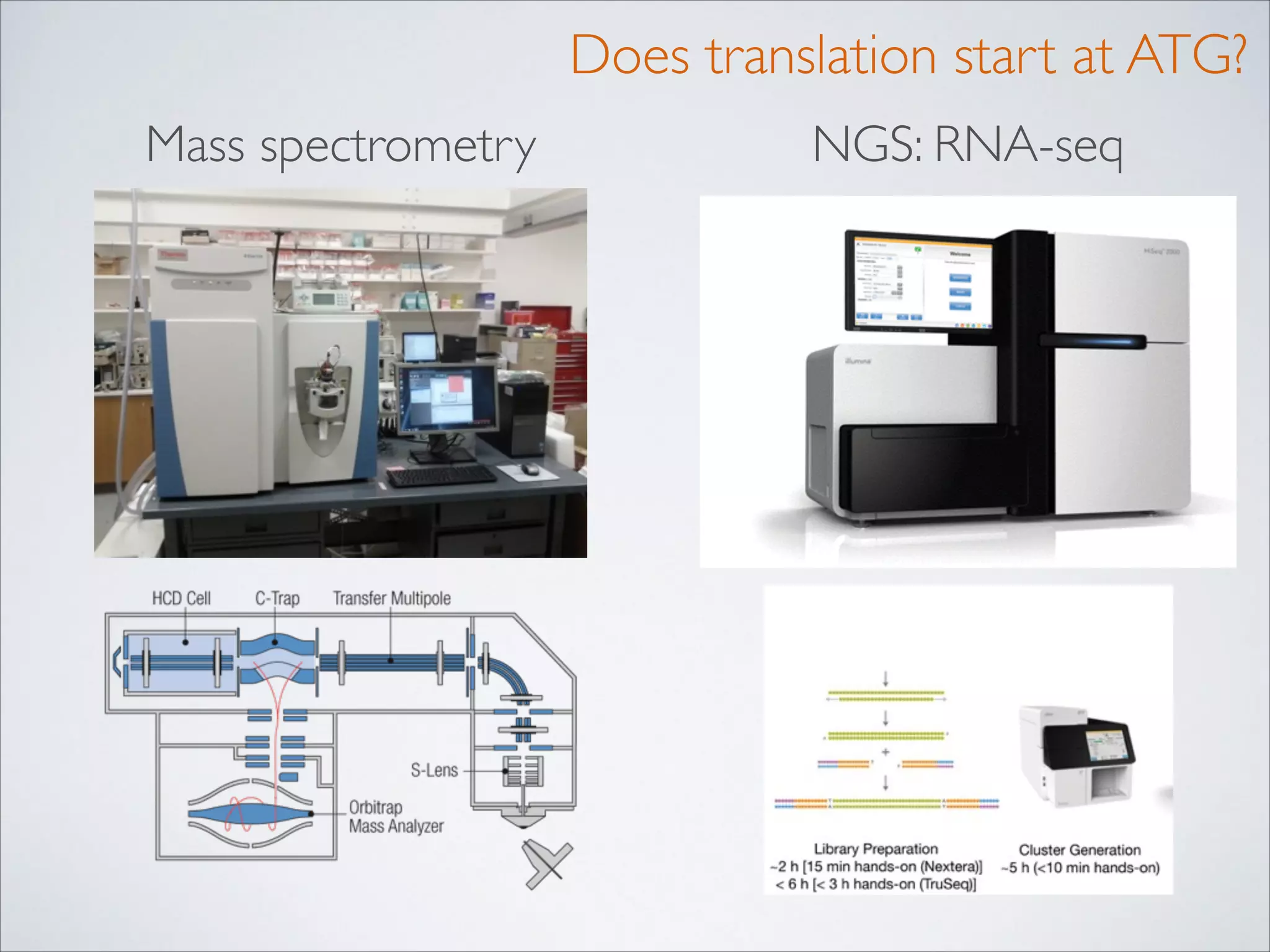 Does translation start at ATG?
Mass spectrometry

NGS: RNA-seq

 