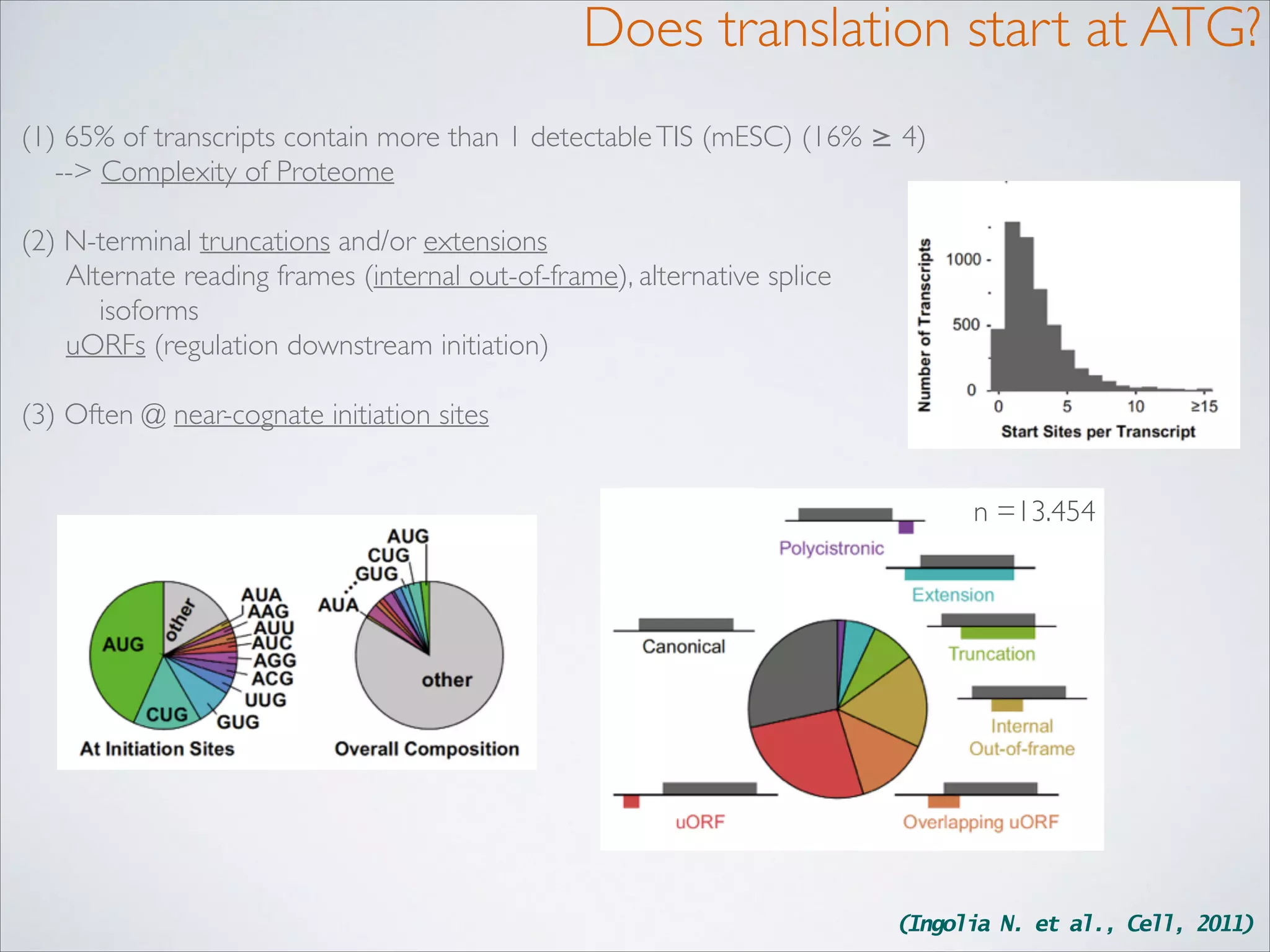 Does translation start at ATG?
(1) 65% of transcripts contain more than 1 detectable TIS (mESC) (16% ≥ 4)  
--> Complexity of Proteome 
(2) N-terminal truncations and/or extensions	

Alternate reading frames (internal out-of-frame), alternative splice
isoforms	

uORFs (regulation downstream initiation)	

!
(3) Often @ near-cognate initiation sites
n =13.454

(Ingolia N. et al., Cell, 2011)

 