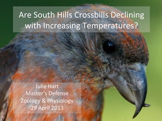 Are	
  South	
  Hills	
  Crossbills	
  Declining	
  
with	
  Increasing	
  Temperatures?	
  
Julie	
  Hart	
  
Master’s	
  Defense	
  
Zoology	
  &	
  Physiology	
  
29	
  April	
  2013	
  
 