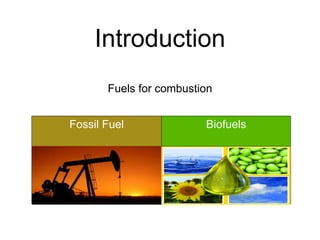Experimental Study of Biodiesel Combustion Characteristics | PDF