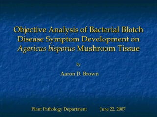 Objective Analysis of Bacterial Blotch Disease Symptom Development on  Agaricus bisporus  Mushroom Tissue Plant Pathology Department  June 22, 2007 by Aaron D. Brown 