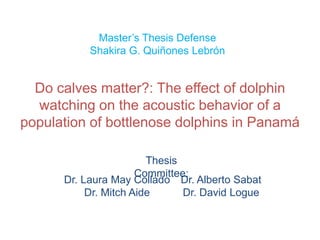 Master’s Thesis Defense
           Shakira G. Quiñones Lebrón


  Do calves matter?: The effect of dolphin
  watching on the acoustic behavior of a
population of bottlenose dolphins in Panamá

                        Thesis
                      Committee:
      Dr. Laura May Collado Dr. Alberto Sabat
           Dr. Mitch Aide      Dr. David Logue
 