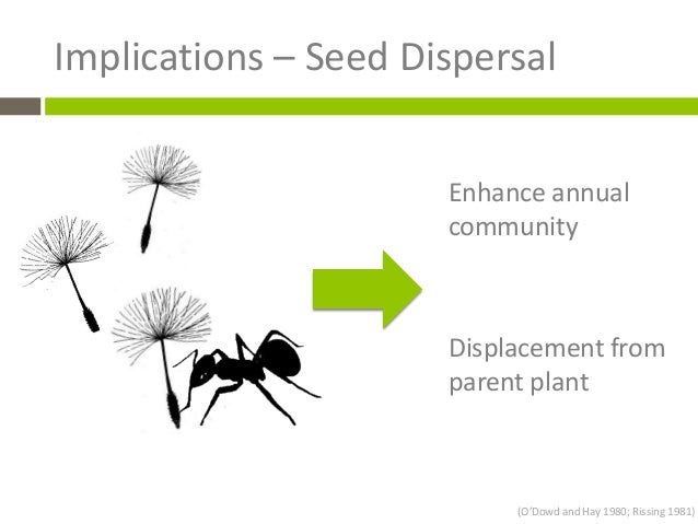 Insect trap it 150 test