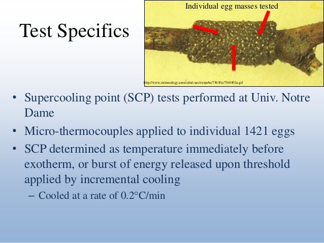Uw epi thesis picture