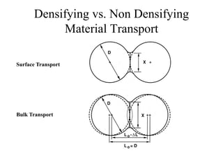 Densifying vs. Non Densifying
Material Transport
Surface Transport
Bulk Transport
 