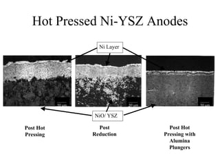 Hot Pressed Ni-YSZ Anodes
Post Hot
Pressing
Post
Reduction
Post Hot
Pressing with
Alumina
Plungers
_____
50 m
NiO/ YSZ
Ni Layer
_____
50 m
_____
50 m
 