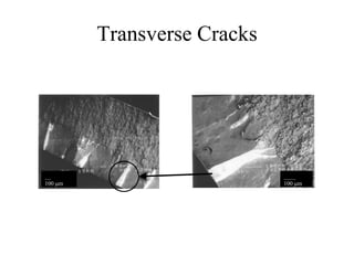 Transverse Cracks
__
100 m
____
100 m
 