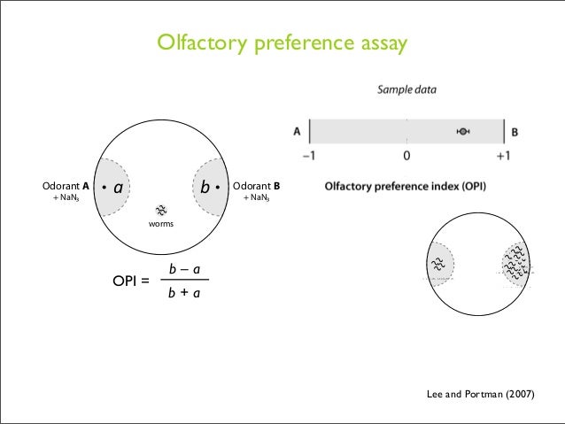 Thesis defense opening picture
