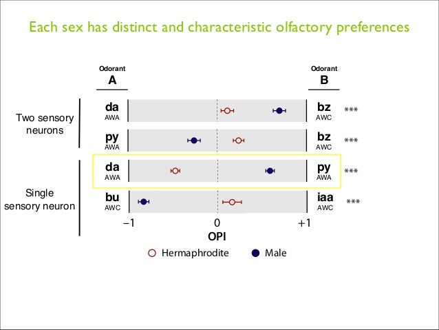 Bachelor thesis defense picture