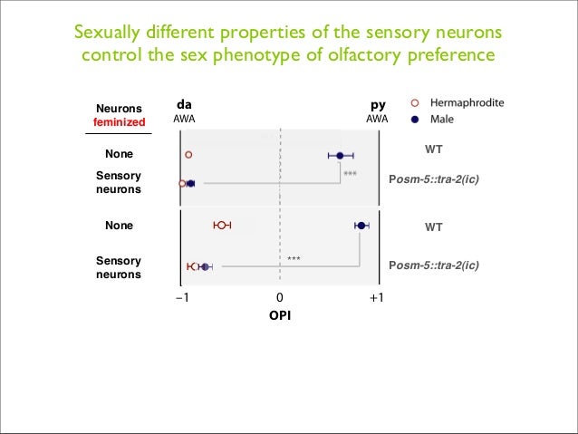 Thesis defense presentation sample pdf image