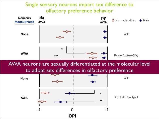 Master thesis defense ppt picture