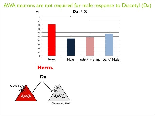 Phd thesis presentation ppt image