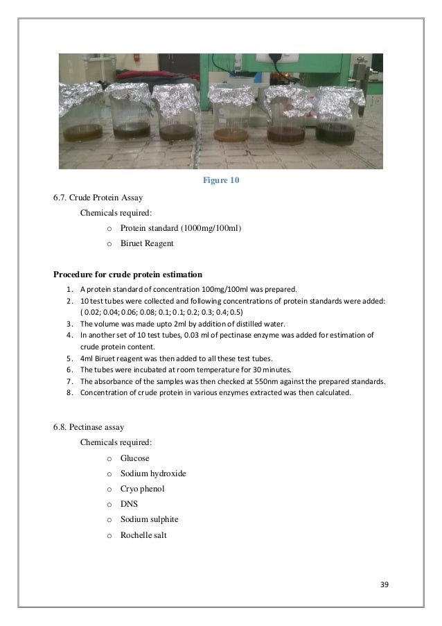 What are proteins made of picture