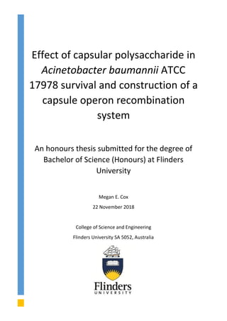 Effect of capsular polysaccharide in
Acinetobacter baumannii ATCC
17978 survival and construction of a
capsule operon recombination
system
An honours thesis submitted for the degree of
Bachelor of Science (Honours) at Flinders
University
Megan E. Cox
22 November 2018
College of Science and Engineering
Flinders University SA 5052, Australia
 