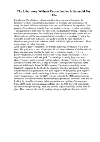 The Laboratory Without Contamination Is Essential For
The...
Introduction The ability to cultivate and identify organisms of interest in the
laboratory without contamination is essential for the study and classifications of
many life forms. Different techniques were used to differentiate the organisms. This
process of transferring a microbe from one medium to the next is called inoculating.
The organism chosen in class will be used to construct further testing. The purpose of
this lab experiment was to find the identity of the unknown bacterial culture and use
all the methods and the assessments that were introduced in the class. By doing that
we had to use different techniques that guide us to find the right bacterium. A
flowchart was given for the unknown to help us find the right bacterium that... Show
more content on Helpwriting.net ...
After a couple days of incubation, the first test conducted for analysis was a gram
stain. The gram stain is used to determine the cell shape and color of the bacteria cell.
It can also determine whether the bacterium is positive or negative. If it is a
positive bacterium, it will look purple when viewed under a microscope. If it is a
negative bacterium, it will look pink. The rod shape is usually long in a cluster
chain. The cocci shape is a small circle or a cluster of grapes. The next test that was
conducted was the KOH test. A large inoculate of the organism was placed in the
center of a slide and a drop of KOH in a corner. The two were carefully mixed
together by dragging the KOH into the organism. This step was done to determine
whether the test was gram positive or gram negative. KOH lyses the gram negative
cells and results in a sticky and stringy substance while the gram positive remain
watery in appearance. Once the KOH test was complete the SIM medium test was
conducted, this test was done to determine three separate tests in one test tube. We are
looking for the sulfur reduction, indole production, and motility of the organism.
First, a SIM media tube is prepared, and then label the SIM tube with your initials
and the bacteria you re using. Next, use a needle to pick an isolated colony from the
plate. Then, inoculate the tube by making a single straight stab down the middle
 