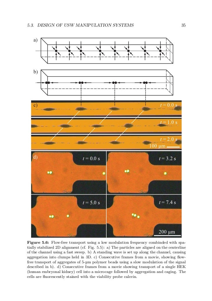 Thesis ultrasonic