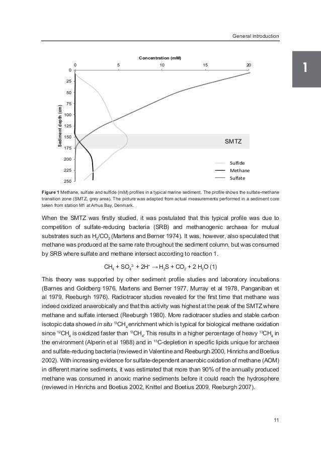 Wageningen university phd application image