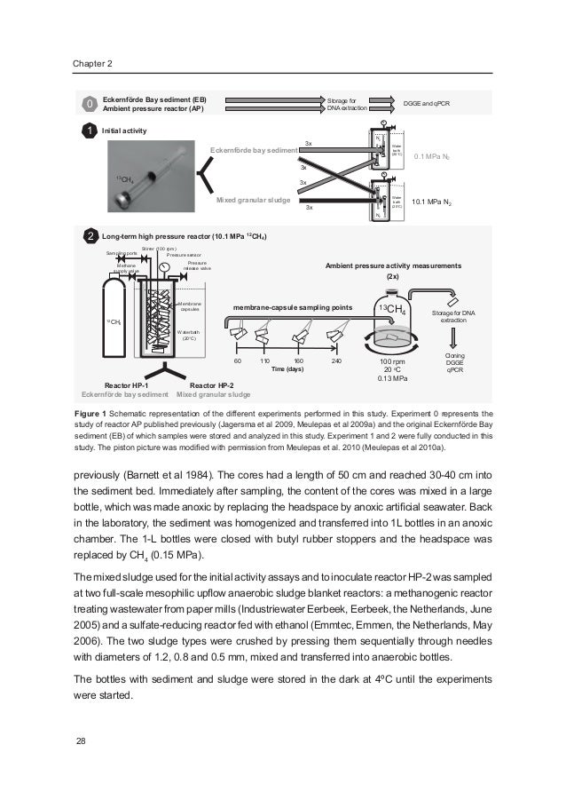 Wageningen university phd thesis