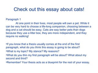 thesis on cats