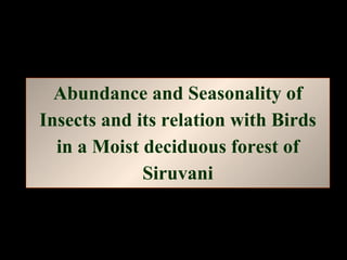 Abundance and Seasonality of Insects and its relation with Birds in a Moist deciduous forest of Siruvani 