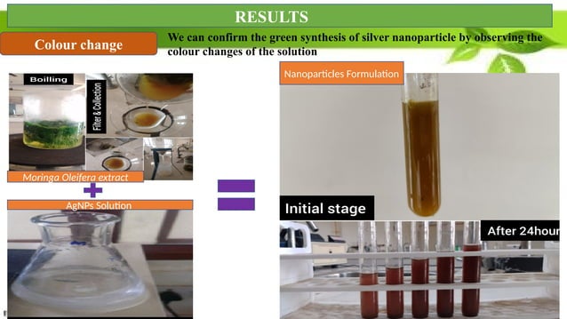 GREEN SYNTHESIS & CHARACTERIZATION OF Moringa oleifera LEAF EXTRACT ...