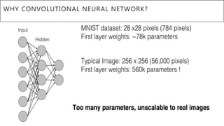 WHY CONVOLUTIONAL NEURAL NETWORK?
 