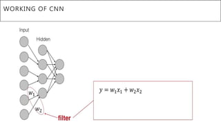 WORKING OF CNN
 