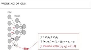 WORKING OF CNN
 