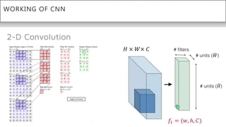 WORKING OF CNN
 