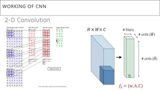 WORKING OF CNN
 
