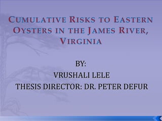 BY:  VRUSHALI LELE THESIS DIRECTOR: DR. PETER DEFUR 