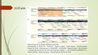 Comparative analysis of gene regulation in mouse rat and human | PPTX