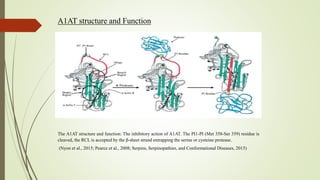 Comparative analysis of gene regulation in mouse rat and human | PPTX