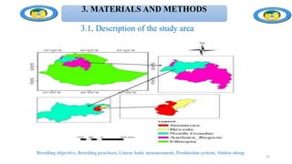 Breeding objective, Breeding practices, Linear body measurement, Production system, Simien sheep
21
3. MATERIALS AND METHODS
3.1. Description of the study area
 