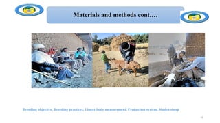 Breeding objective, Breeding practices, Linear body measurement, Production system, Simien sheep
24
Materials and methods cont.…
 