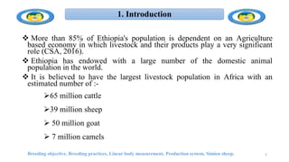 More than 85% of Ethiopia's population is dependent on an Agriculture
based economy in which livestock and their products play a very significant
role (CSA, 2016).
 Ethiopia has endowed with a large number of the domestic animal
population in the world.
 It is believed to have the largest livestock population in Africa with an
estimated number of :-
65 million cattle
39 million sheep
 50 million goat
 7 million camels
Breeding objective, Breeding practices, Linear body measurement, Production system, Simien sheep. 3
1. Introduction
 