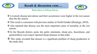 Result & discussion cont.…
Breeding objective, Breeding practices, Linear body measurement, Production system, Simien sheep 64
Rank indexes of Sheep Disease
 Livestock disease prevalence and their occurrences were higher in the wet season
than the dry season.
 This result is consistent with previous studies in North Gondar (Desalegn, 2019),
 who reported that disease was the most important cause of mortality in the wet
season.
 In the Beyeda district, peste des petits ruminants, sheep pox, fascioliasis, and
pasteurellosis were major reported sheep diseases in that order.
 This study revealed that disease is a significant problem of sheep production in
the study area.
 