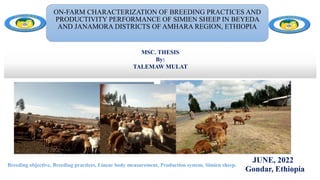 Breeding objective, Breeding practices, Linear body measurement, Production system, Simien sheep.
MSC. THESIS
By:
TALEMAW MULAT
Gondar, Ethiopia
JUNE, 2022
1
ON-FARM CHARACTERIZATION OF BREEDING PRACTICES AND
PRODUCTIVITY PERFORMANCE OF SIMIEN SHEEP IN BEYEDA
AND JANAMORA DISTRICTS OF AMHARA REGION, ETHIOPIA
 