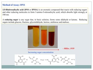  Environmentally friendly UN award for green process