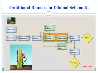 Traditional Biomass to Ethanol Schematic- DOE report