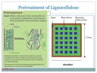 Pretreatment of Lignocellulose- DOE report