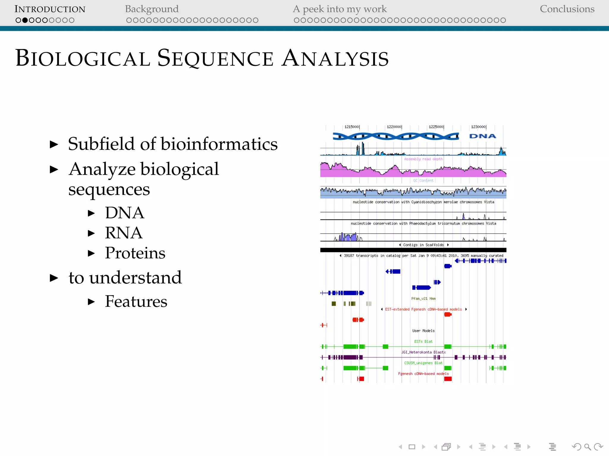 INTRODUCTION Background A peek into my work Conclusions
BIOLOGICAL SEQUENCE ANALYSIS
Subﬁeld of bioinformatics
Analyze biological
sequences
DNA
RNA
Proteins
to understand
Features
 