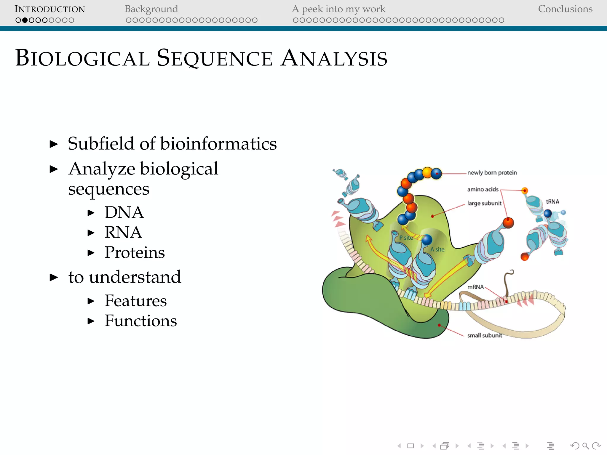 INTRODUCTION Background A peek into my work Conclusions
BIOLOGICAL SEQUENCE ANALYSIS
Subﬁeld of bioinformatics
Analyze biological
sequences
DNA
RNA
Proteins
to understand
Features
Functions
 