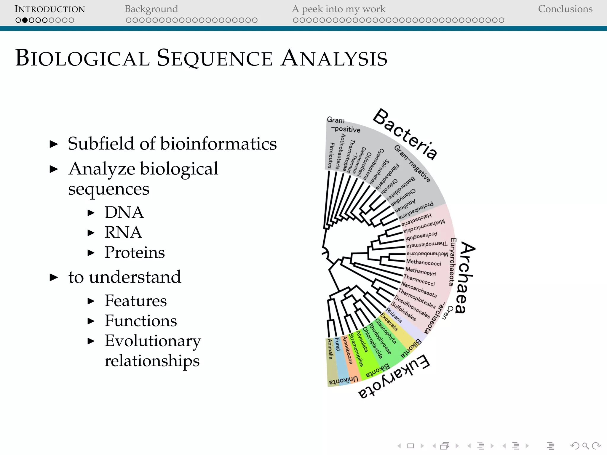 INTRODUCTION Background A peek into my work Conclusions
BIOLOGICAL SEQUENCE ANALYSIS
Subﬁeld of bioinformatics
Analyze biological
sequences
DNA
RNA
Proteins
to understand
Features
Functions
Evolutionary
relationships
 