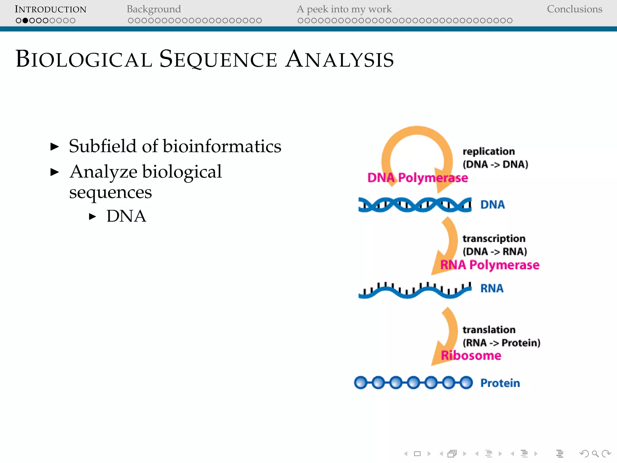 INTRODUCTION Background A peek into my work Conclusions
BIOLOGICAL SEQUENCE ANALYSIS
Subﬁeld of bioinformatics
Analyze biological
sequences
DNA
 