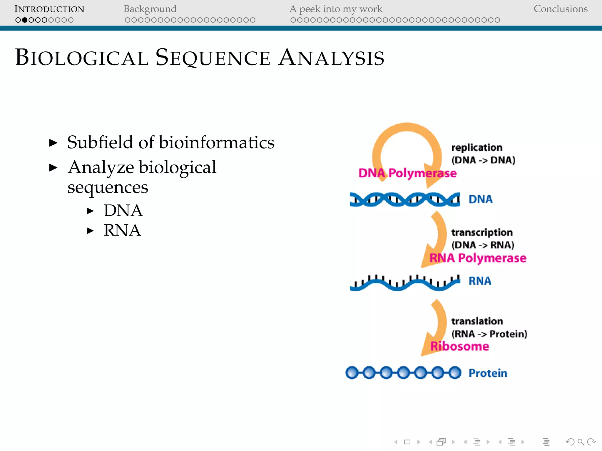INTRODUCTION Background A peek into my work Conclusions
BIOLOGICAL SEQUENCE ANALYSIS
Subﬁeld of bioinformatics
Analyze biological
sequences
DNA
RNA
 