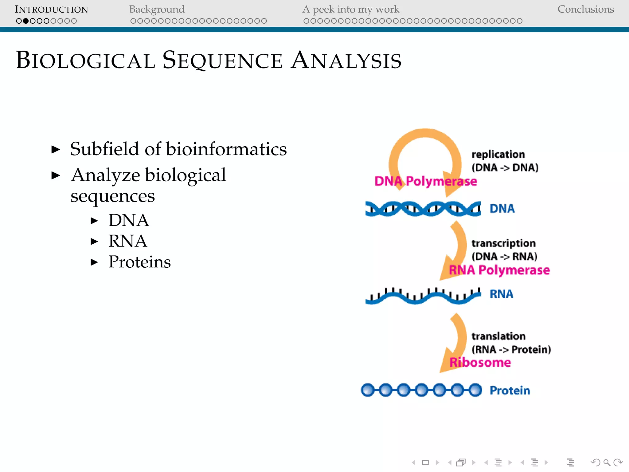 INTRODUCTION Background A peek into my work Conclusions
BIOLOGICAL SEQUENCE ANALYSIS
Subﬁeld of bioinformatics
Analyze biological
sequences
DNA
RNA
Proteins
 