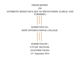 THESIS REPORT 
ON 
ANTIBIOTIC RESISTANCE DUE TO SPICES FOODS (GARLIC AND 
TURMERIC) 
SUBMITTED TO:- 
HOPE ONTERNATIONAL COLLEGE 
SUBMITTED BY:- 
UTTAM NEUPANE 
SANTOSHI THAPA 
23rd September 2014 
 