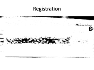 Registration 
 