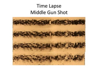Time Lapse 
Middle Gun Shot 
 